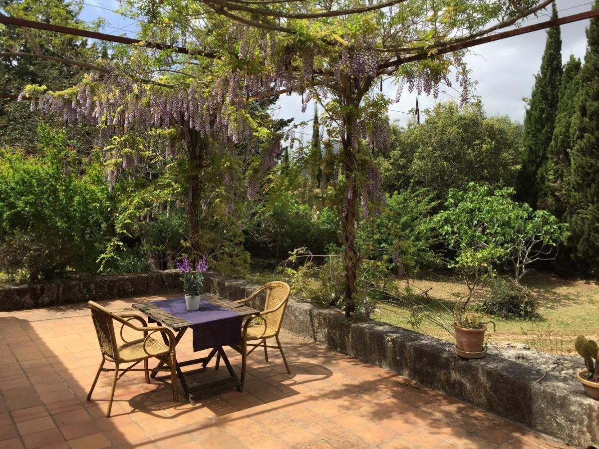 Finca Can Trui Teresa Pollenca Exterior photo